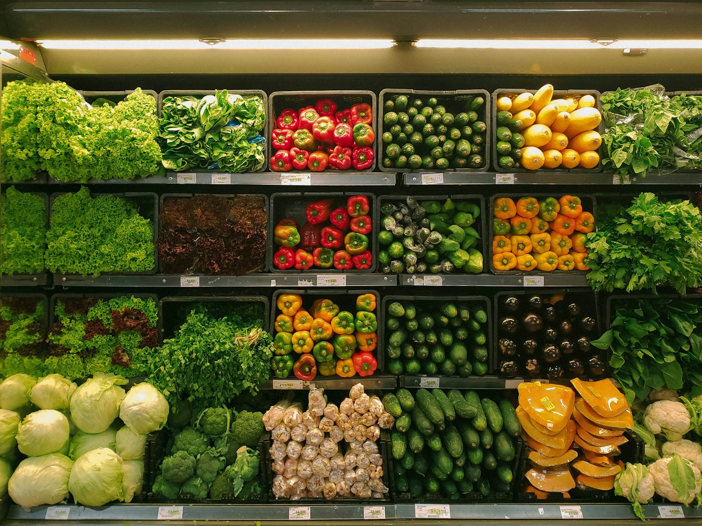 Alimentos